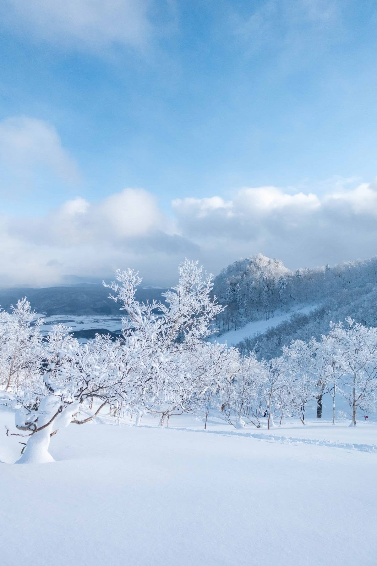 Day 7 — SAPPORO