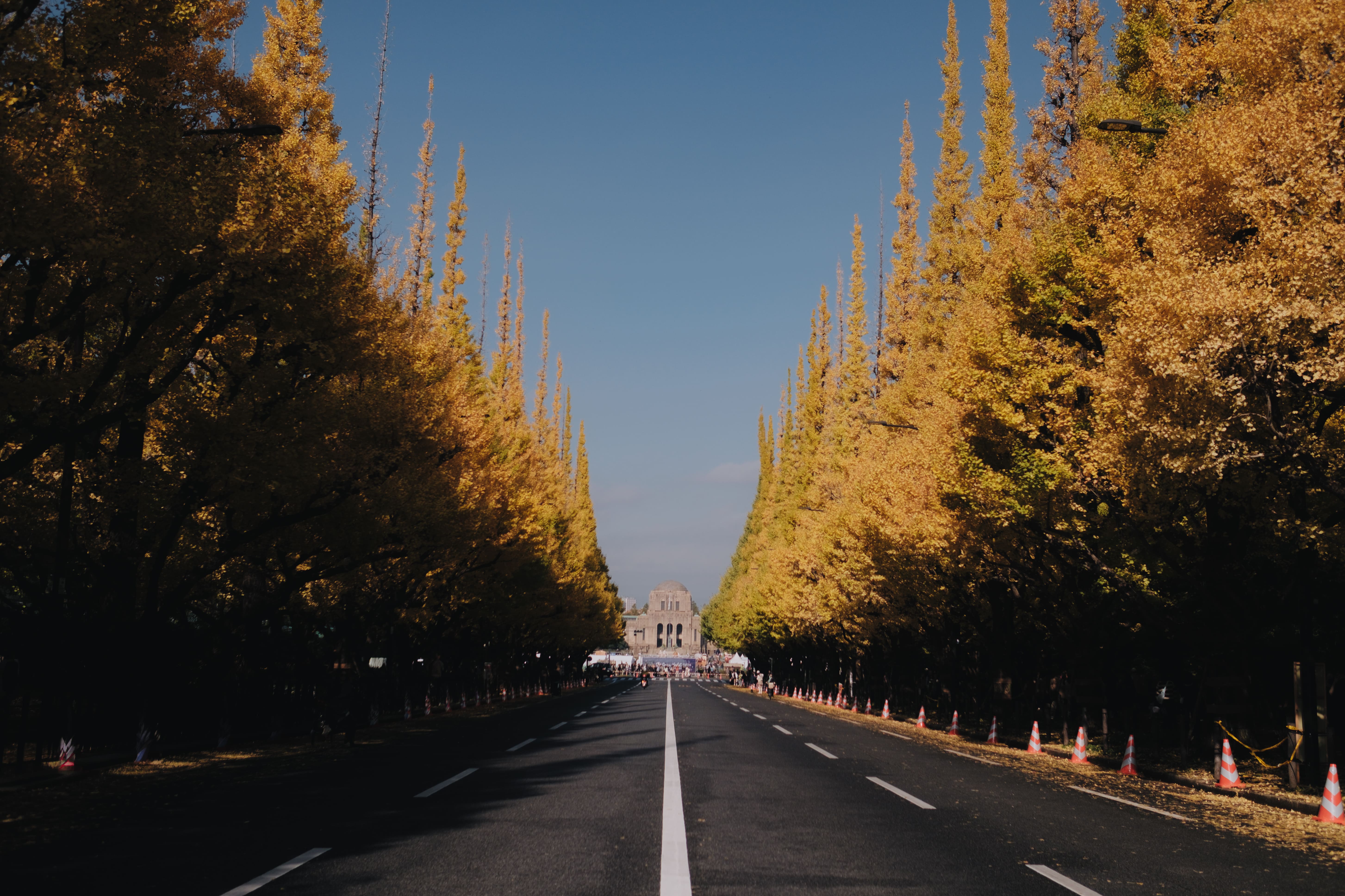 Japan — Autumn