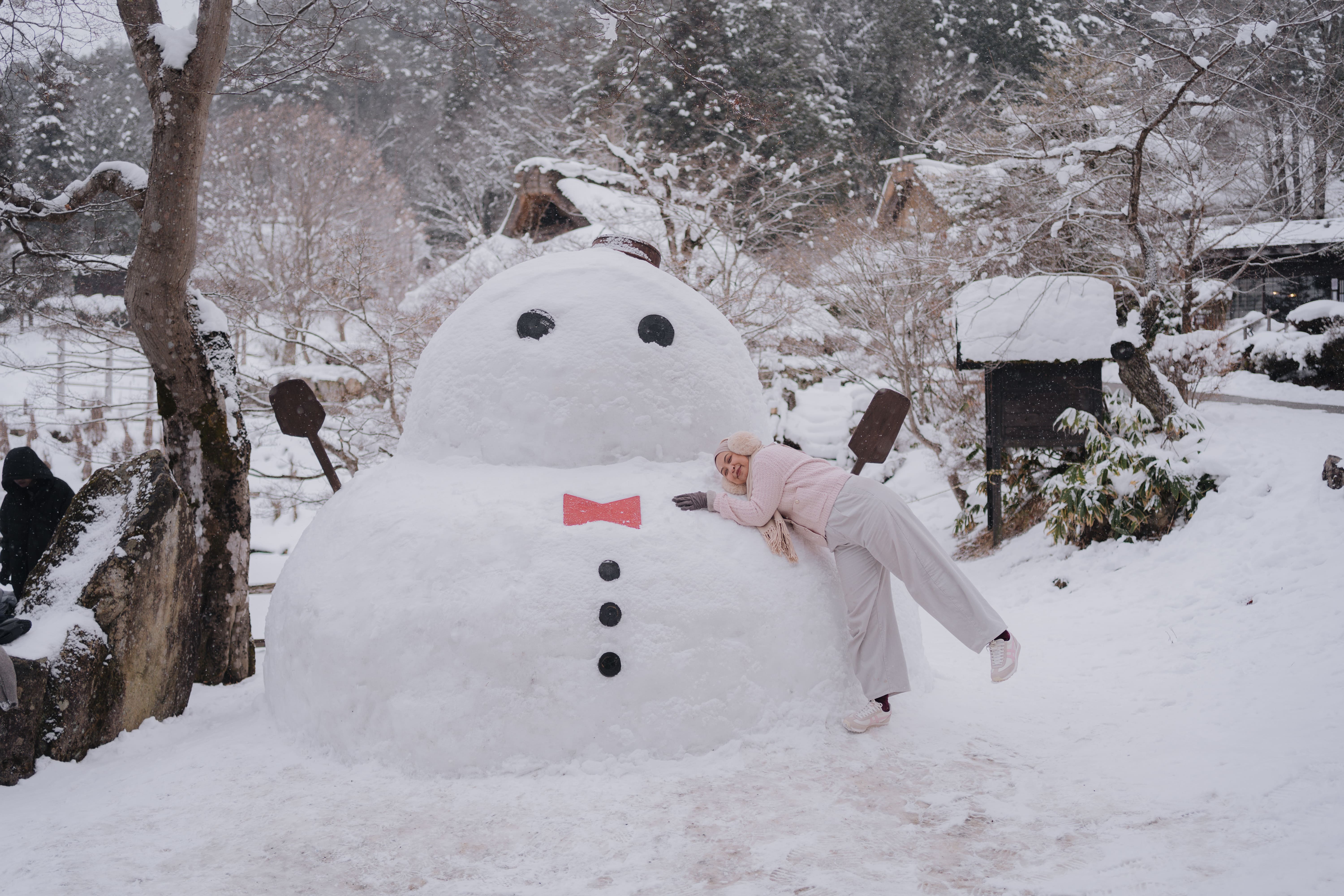 Japan — Winter