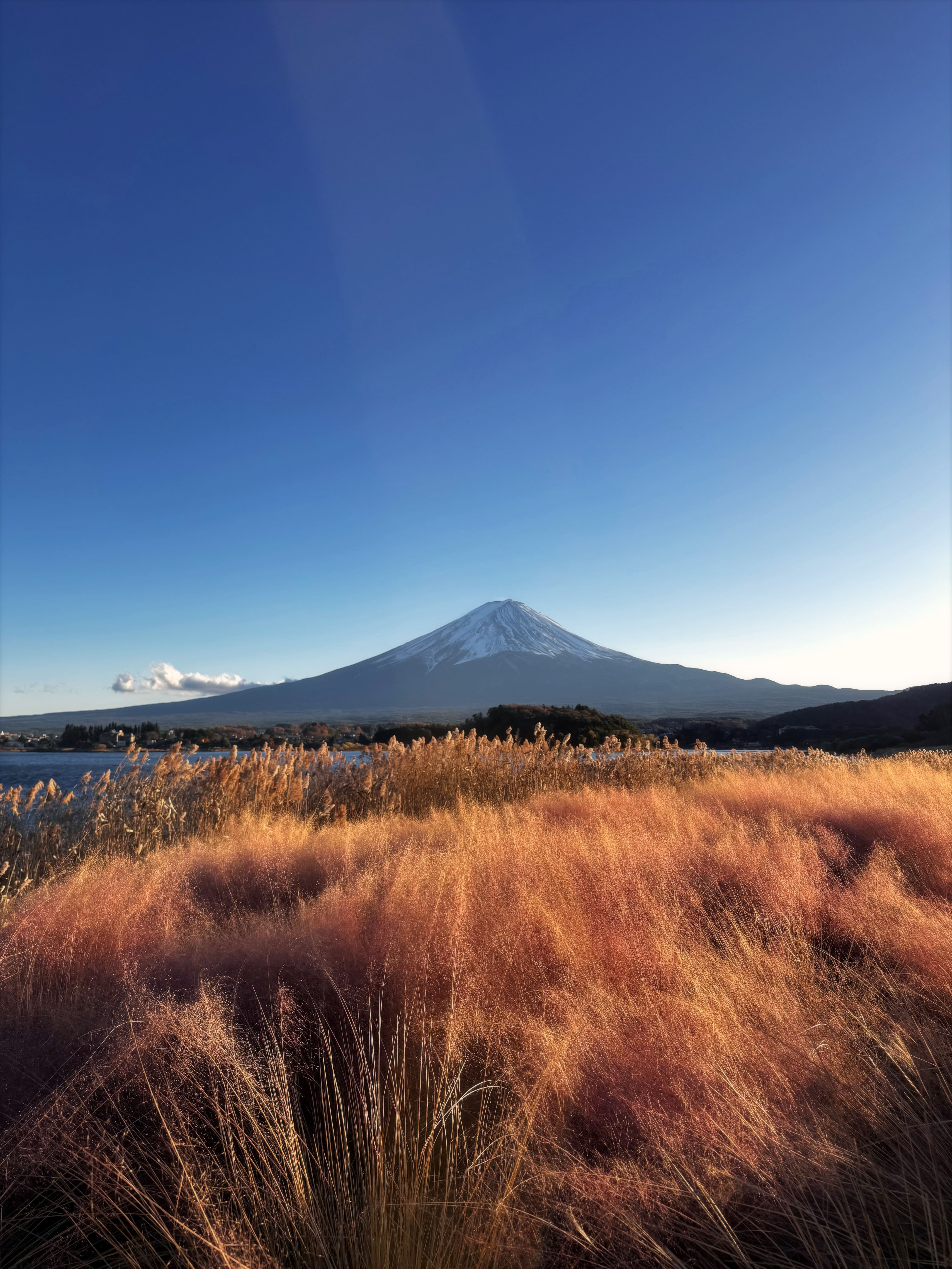 Japan — Autumn