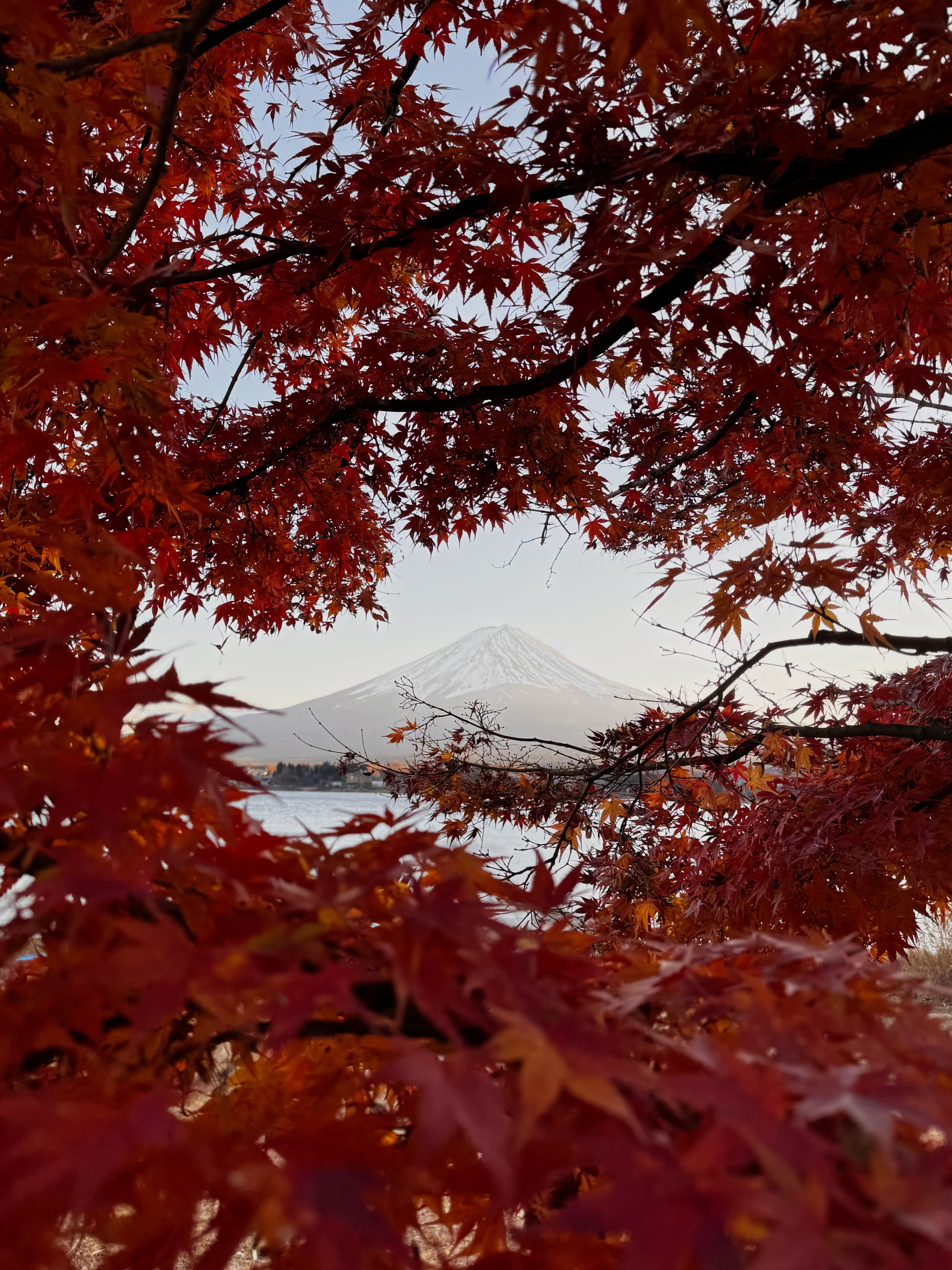 Japan — Autumn