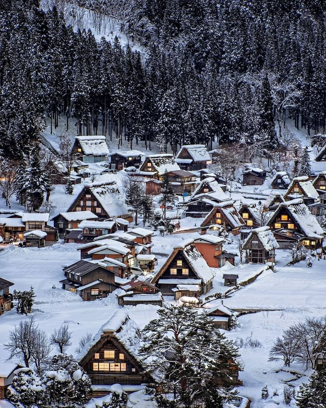 Japan Winter Dream — Osaka · Toyama · Takayama · Tokyo 