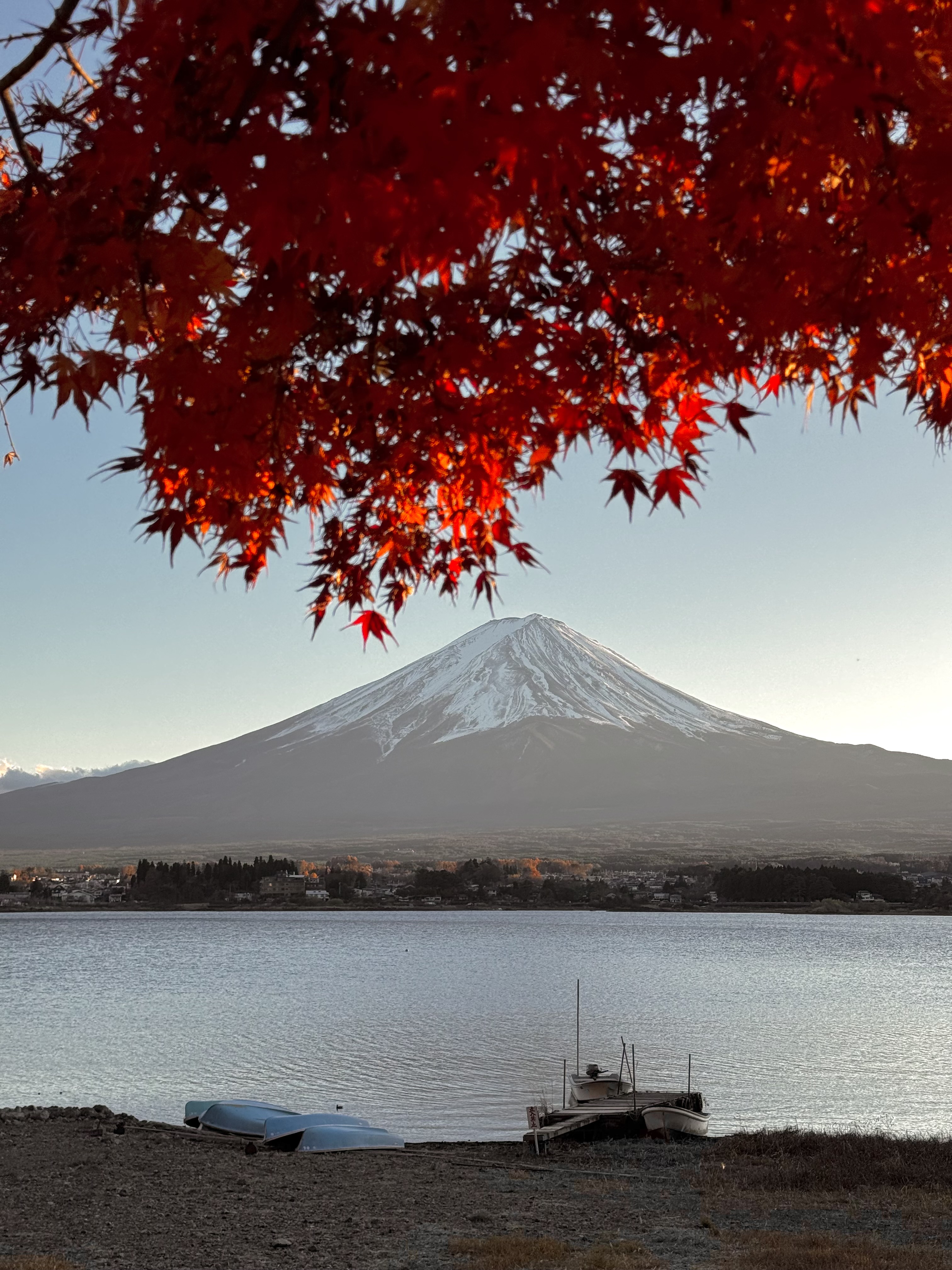 Japan Autumn — Golden days — Osaka · Kyoto · Fujikawaguchiko · Tokyo